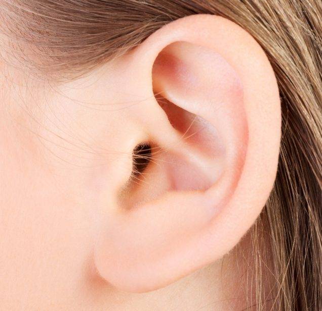 EAR AND EARLOBE